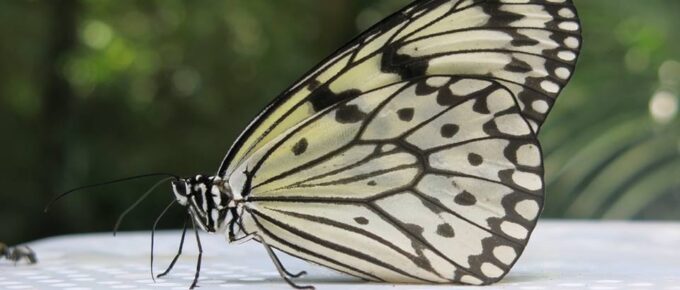 Inspiration to achieve