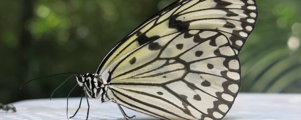 Inspiration to achieve