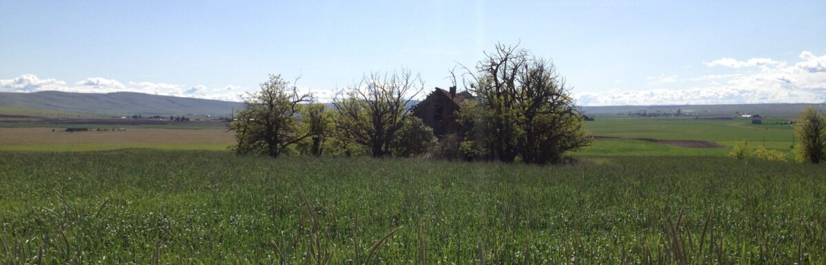 Abilities Service Talents