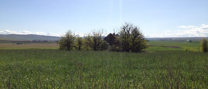 Abilities Service Talents