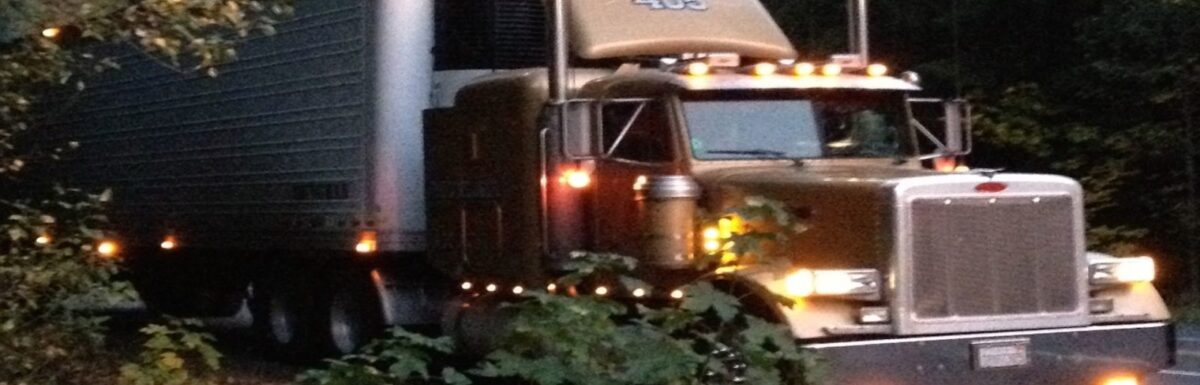 WORKING PHOTO GALLERY OF PREACHER JOHN.