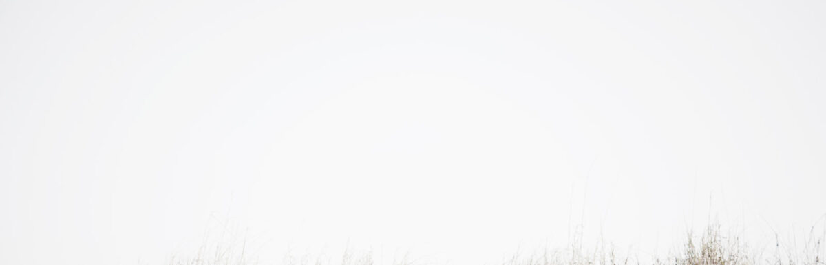 sand picture on He Went Forward A Little And Fell On The Ground