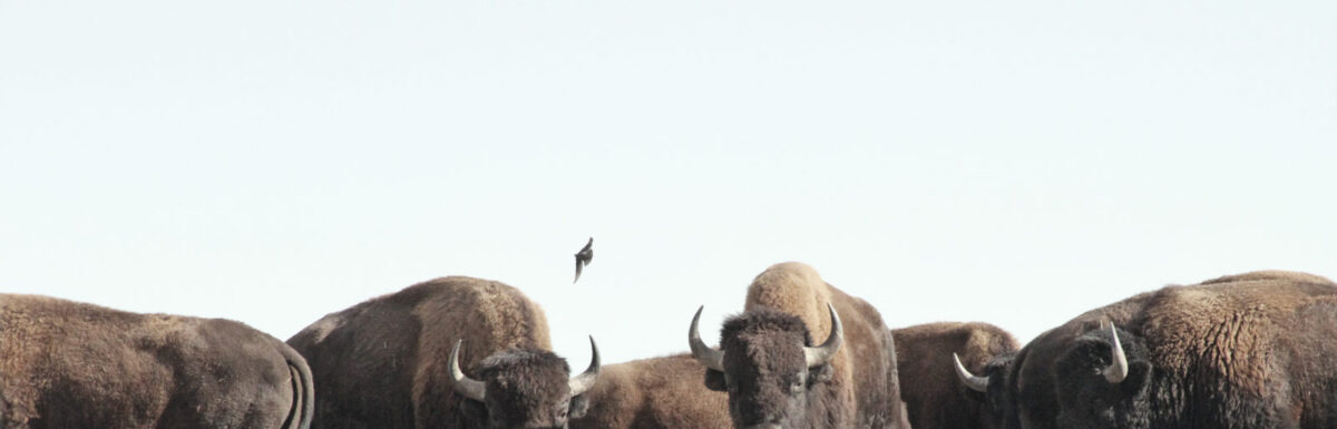 street preaching videos october 2021. Gospel Evangelist Church at Boulder and Colorado