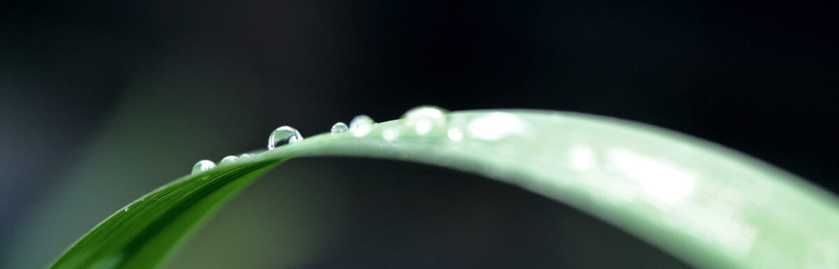 Offended Because of Christ