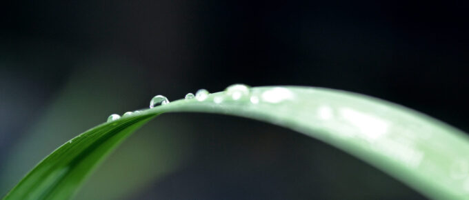 Offended Because of Christ