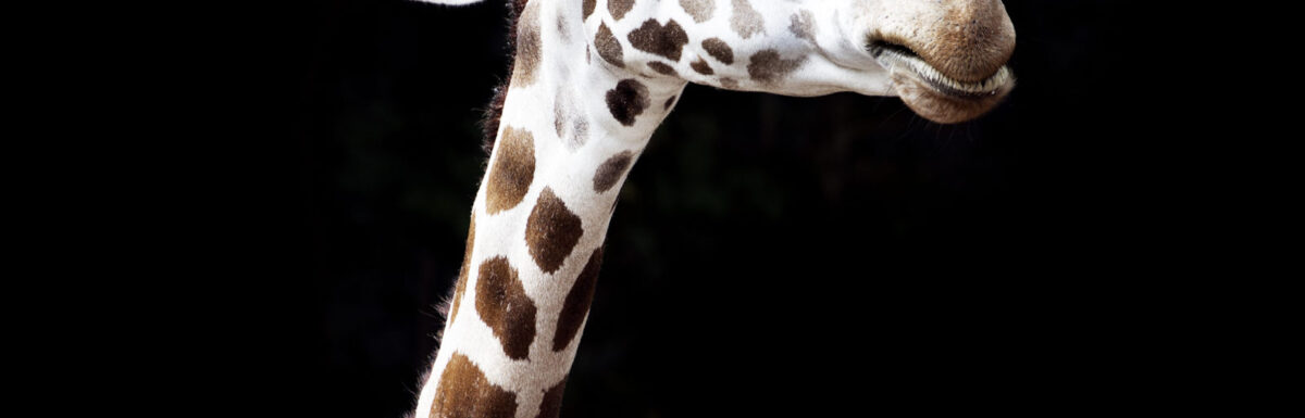 When School Begins, You Begin!