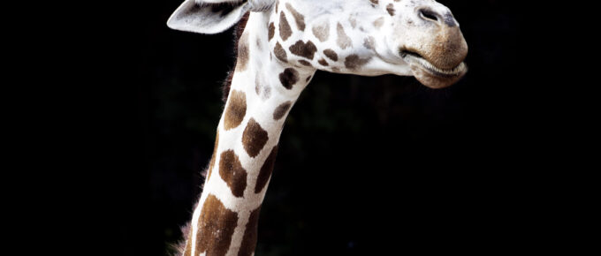 When School Begins, You Begin!