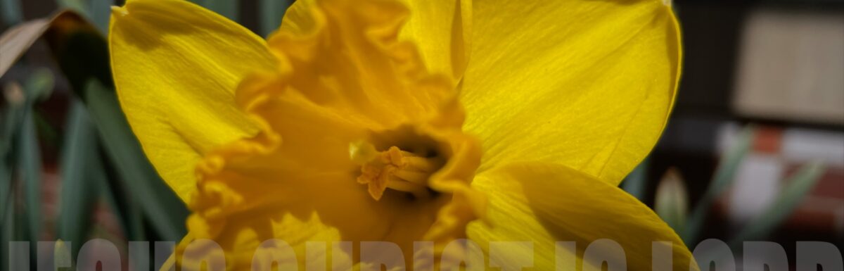 THE MOUNTAIN BURNED With Fire: Ye Came Near | Sunday Prayer Letter.