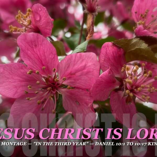0313 | GEC Sunday Prayer Letter "one accord"