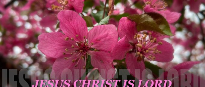 0313 | GEC Sunday Prayer Letter "one accord"